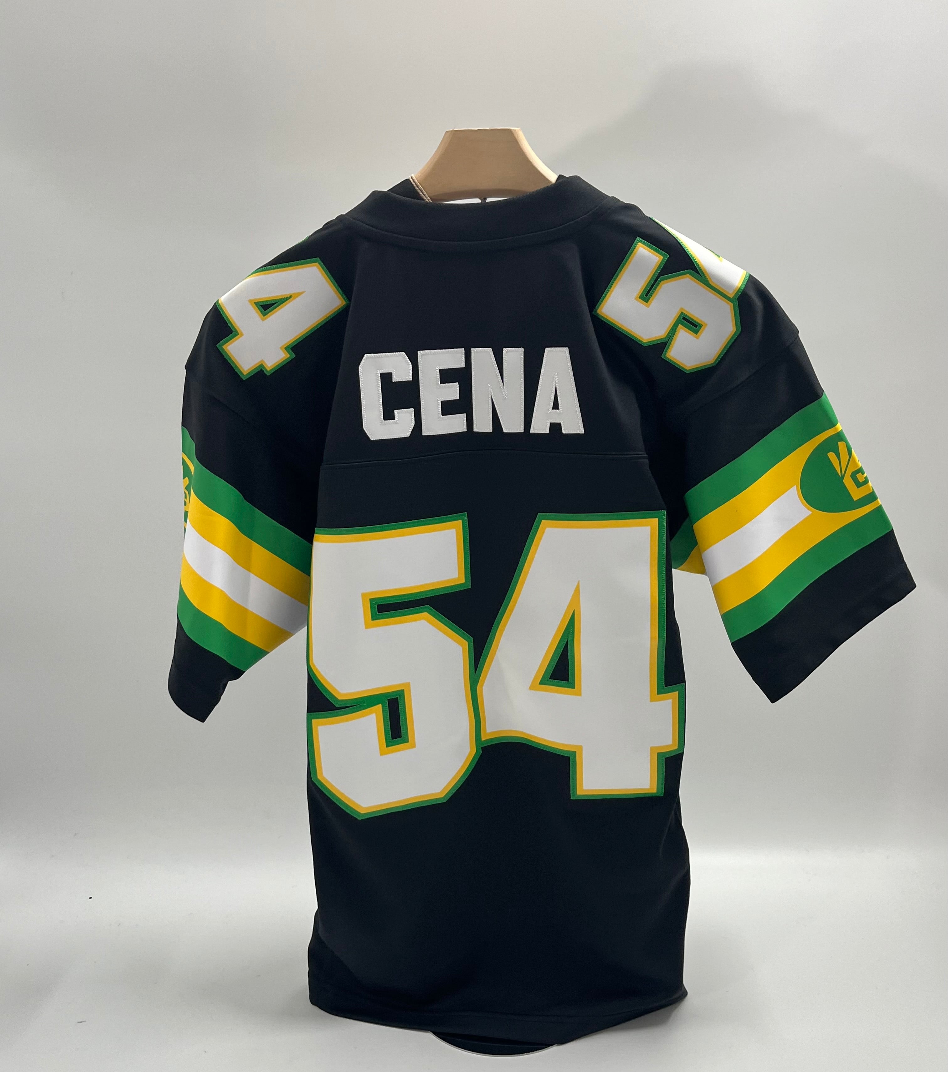 John Cena, WWE You Can&