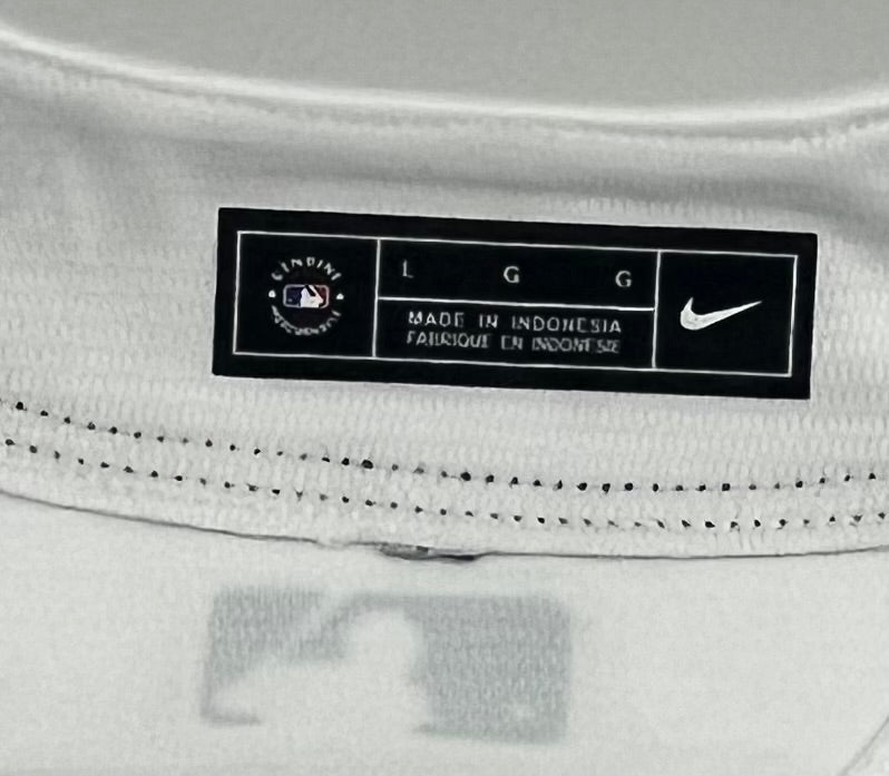 Miguel Cabrera Signed Tigers Nike Authentic Jersey (JSA)