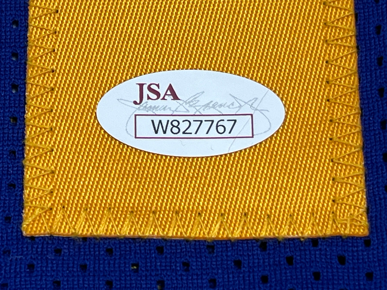Rick Barry Signed Custom Jersey (JSA)