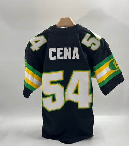 John Cena, WWE You Can&