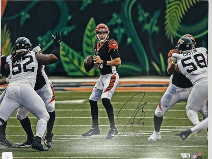 Joe Burrow Signed Bengals 16x20 Photo (Fanatics)