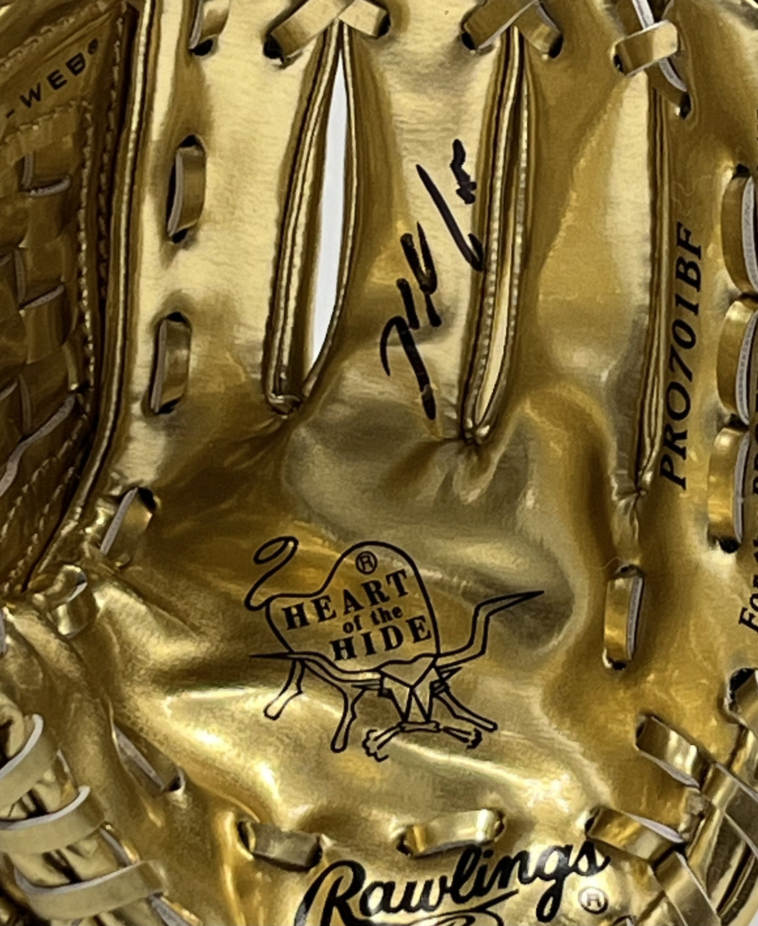 Nolan Arenado Signed Rawlings Mini Golden Glove With Display Stand (JSA)